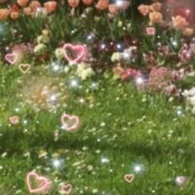 Luna 🌸 (luna_desire_xo) Header Photo Added 2025-11-19