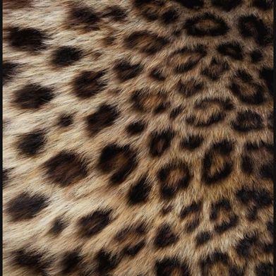 Hennessi Malandro (hennessimalandro) Header Photo Added 2025-04-08