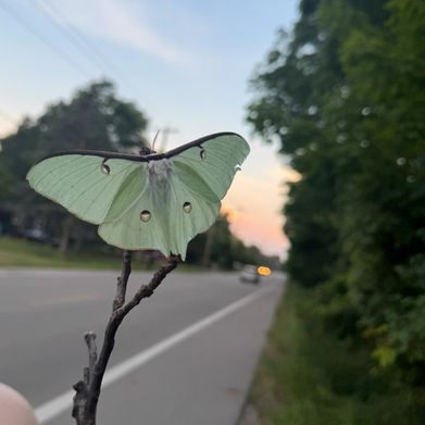 cry bb 🖤 (crybbfannypacker) Header Photo Added 2025-10-04