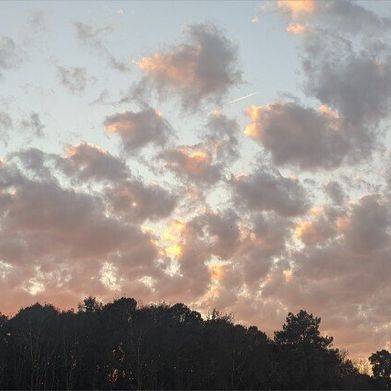 Kat♡ (outdoorkitty) Header Photo Added 2025-11-01