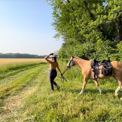 Cowgirl X (themoderndaycowgirlx) Header Photo Added 2024-09-13