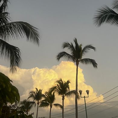 Crunchymom (crunchymom) Header Photo Added 2025-01-15