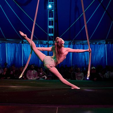 Starling (starling42) Header Photo Added 2025-09-29