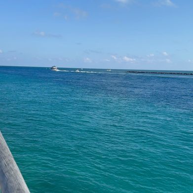 Jasmine 🌺 Added Photo on 2025-07-31