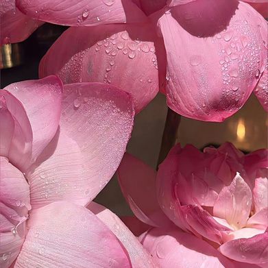 kiaralordmagyar (kiaralordmagyar) Header Photo Added 2025-07-02