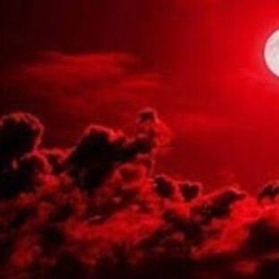 Bunny Kay ♡︎ (bunnythabaddest) Header Photo Added 2025-10-24