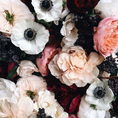 Ssuccubuss (ssuccu4uss) Header Photo Added 2024-06-28