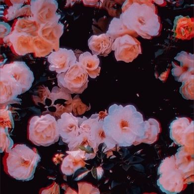 𝓀𝓀 (xkk666x) Header Photo Added 2025-09-04