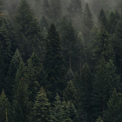 𝚜𝚊𝚋𝚛𝚒𝚗𝚊ᥫ᭡. Added Photo on 2025-01-23