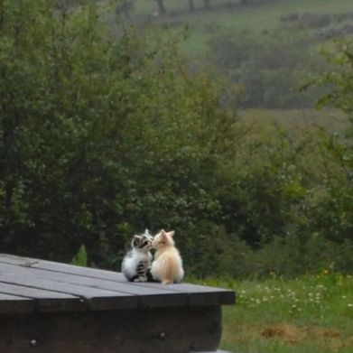 ClearlySomebody (clearlysomebody) Header Photo Added 2025-04-20