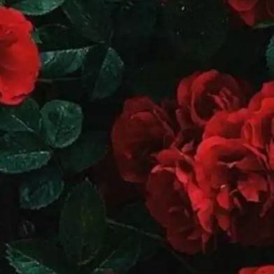 Bel Added Photo on 2024-09-22