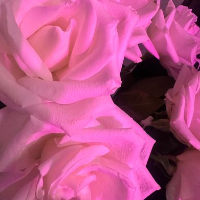 Naomi 🕷️ Added Photo on 2025-02-05