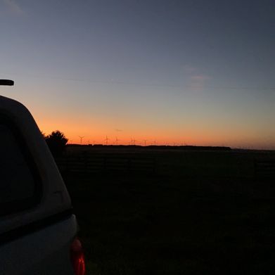 cammie (notcam.au) Header Photo Added 2024-06-03