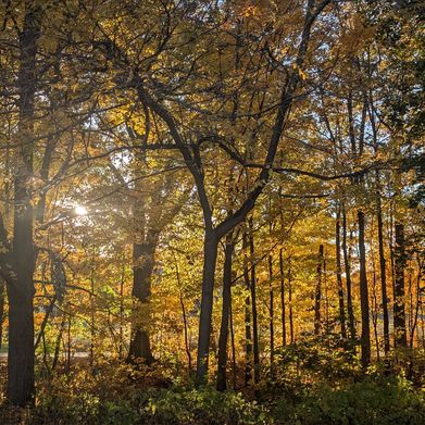 Blazed Baddie 💜 NO PPV ✨️ (lavenderqueen420) Header Photo Added 2024-12-12