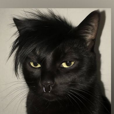 Brit Brat 🙈 (beeforbrat) Header Photo Added 2025-08-23