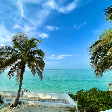 ᗷᗩ𝗂🫧🐠 Added Photo on 2024-09-21