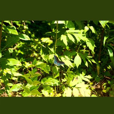 Layla 🌻 (laylareynolds69) Header Photo Added 2025-05-17