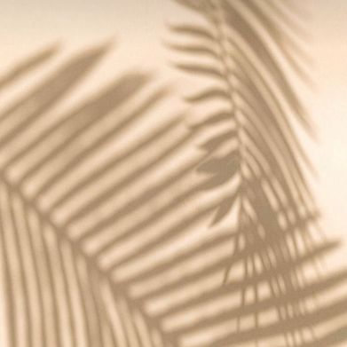 𝙔𝙤𝙪𝙧 𝙛𝙖𝙫𝙤𝙧𝙞𝙩𝙚 𝙨𝙥𝙞𝙘𝙮 𝙗𝙖𝙗𝙚 🌶️ (sweetnspicystephanie) Header Photo Added 2025-02-05