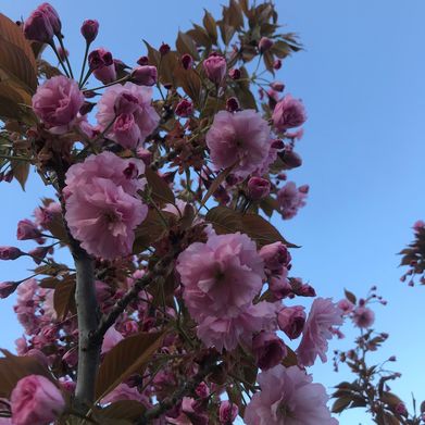 🍭Candy_bbb🍓 (candy_bbb) Header Photo Added 2025-05-05