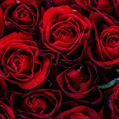 Raven Storm (uraddiction210) Header Photo Added 2025-06-21