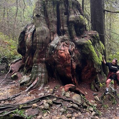 sliceofsalami (slice_of_salami) Header Photo Added 2024-08-16