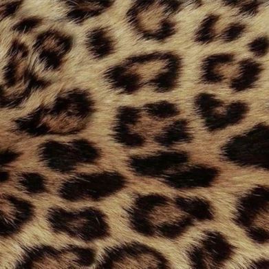 Star Diamonte (oneandonlystarrr) Header Photo Added 2025-08-26