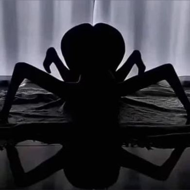 𝓑𝓻𝓮𝓷𝓭𝓪 (cerezadulcex) Profile Photo Added 2024-10-08