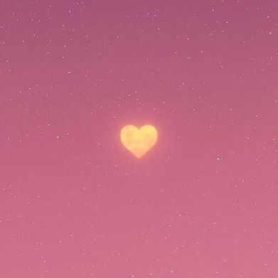 becca (velvetyalienvip) Header Photo Added 2025-03-13