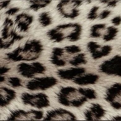 ☆Thicktrap (thicktrapp) Header Photo Added 2025-10-31