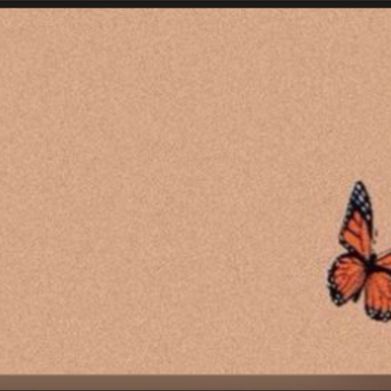 Paige (yallieoo) Header Photo Added 2024-09-08