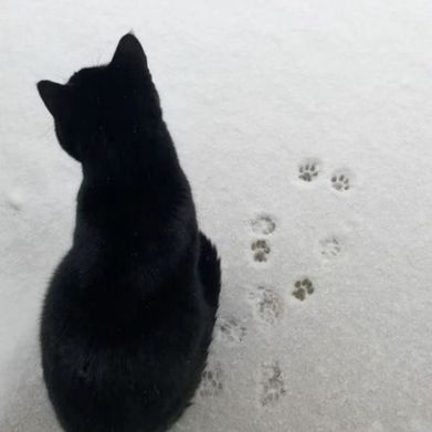 Mysterious Girl (liaisyourgod) Profile Photo Added 2024-08-21