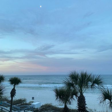 Alice Devyne (alicedevyne) Header Photo Added 2025-05-07