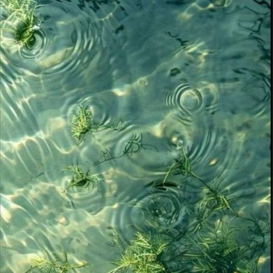 Margo Dolly (margo.dolly) Header Photo Added 2025-08-16