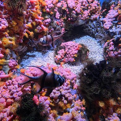 WetRose💋VIP (4evawetrose98) Header Photo Added 2025-07-31