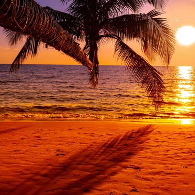 Malibu🌊 (mazing_malibu) Header Photo Added 2024-09-14