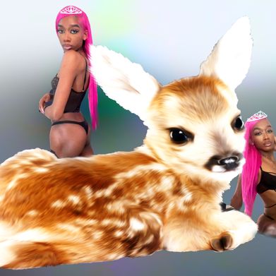 Internet Princess (kayloigo) Header Photo Added 2024-07-16