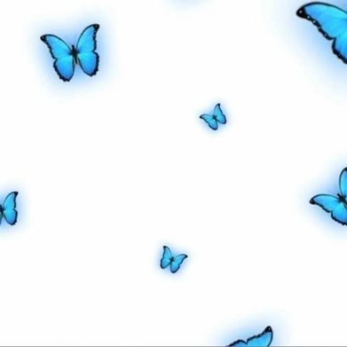 FemmeCurves💗 (hiddenbeautyfitness) Header Photo Added 2025-11-12