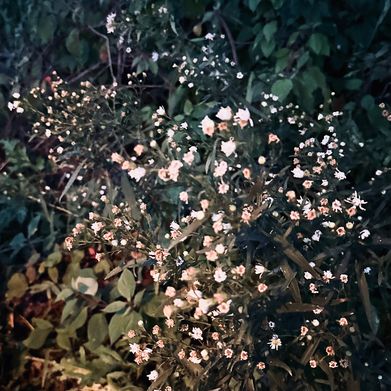 Kryssi (justanothergirl85) Header Photo Added 2024-09-02