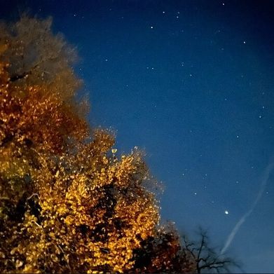 GoddessOctavia (octavia6966) Header Photo Added 2025-12-02