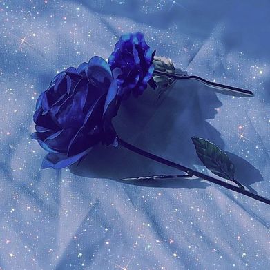 Dream 💰 (helovesdreams) Header Photo Added 2024-10-15