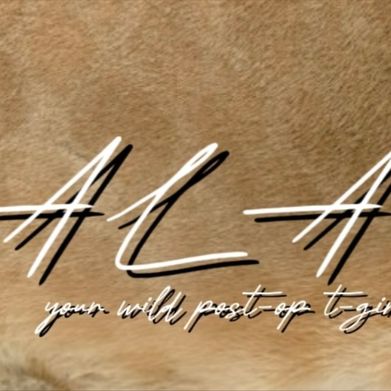 NALA 🦁ྀི (nala.tgrrl) Header Photo Added 2025-08-25