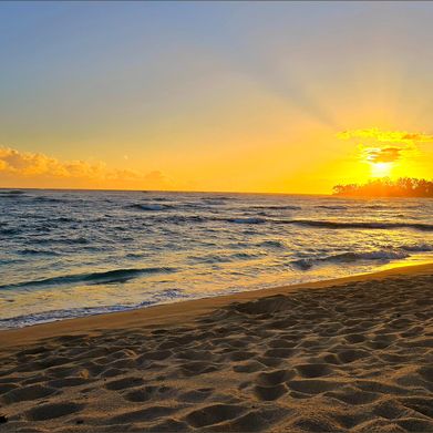 Stephanie (chillypeeps1414) Header Photo Added 2025-01-02