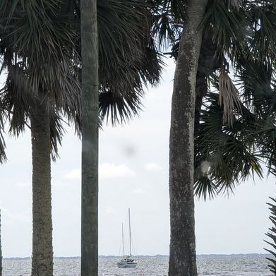 Sassysoutherndelight (sassysoutherndelight) Header Photo Added 2024-09-02