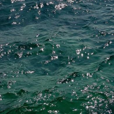 Aguacate salao🥑 Added Photo on 2025-03-08