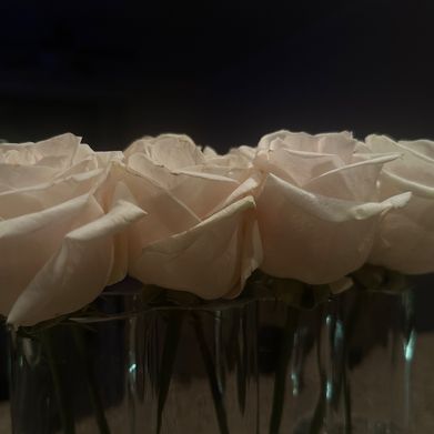 Sienna V 🤍 (siennavossxo) Header Photo Added 2025-03-04