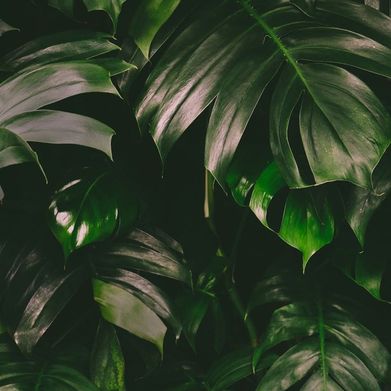 Goddess Jae (goddess.jae) Header Photo Added 2024-10-15