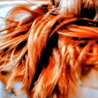 Tinyfeet46 (tinyfeet46) Header Photo Added 2025-09-26