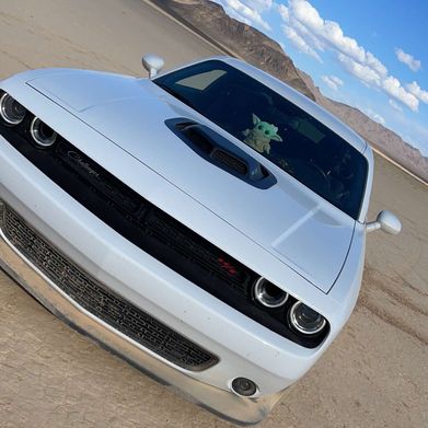 RowdyRosie666 (rowdyrosie666) Header Photo Added 2025-06-01