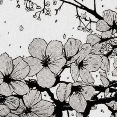 Yumi 🐇🫧 (babyyumizinha) Header Photo Added 2025-09-16