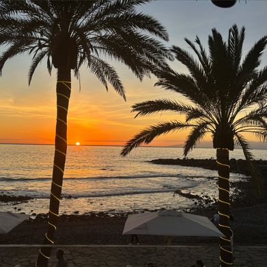 Jodies world (ukj_m2) Header Photo Added 2025-08-21